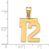 Black Bow Jewelry 14k Yellow Gold, Athletic Collection Medium Polished Number 12 Pendant - 2 of 3