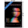 Trends International Evanescence - The Bitter Truth Framed Wall Poster Prints - 3 of 4