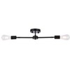 Elegant Lighting Zane 2 lights black flush mount - 3 of 4