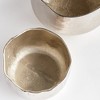 Plum & Post Amelia Cachepot Planters Set of 2 - 3 of 3