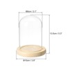 Unique Bargains Wooden Base Plants Home Decor Glass Bell Jar Display Case - 2 of 4