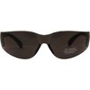 2 Pairs of Birdz Eyewear Pigeon Safety Glasses - 2 of 4