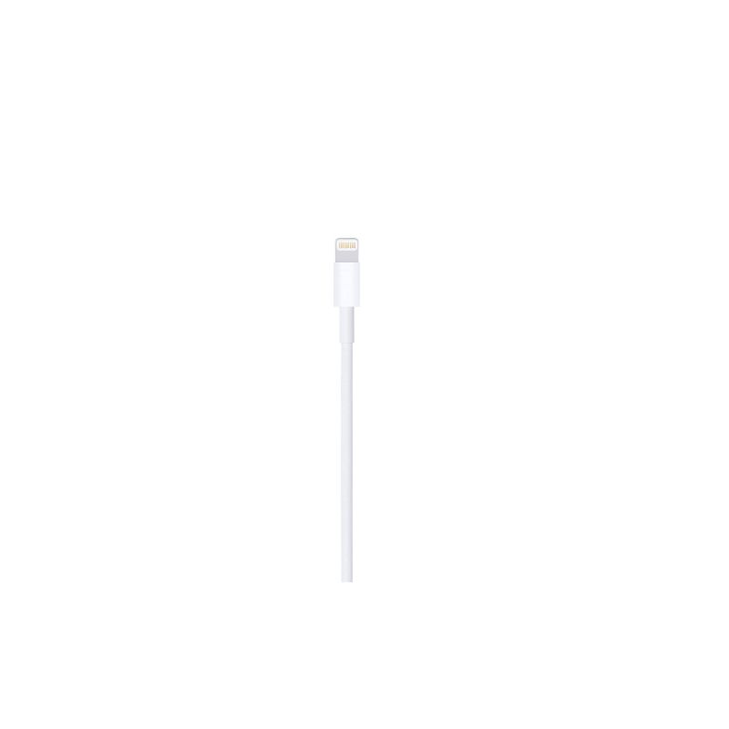 Apple Lightning to USB Cable, 2 of 4
