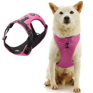 Gooby Trailblazer Harness Raspberry Rose, Medium - 1 of 1