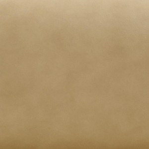 TOV Furniture Bekah Genuine Leather Accent Chair in Tan - 1 of 4