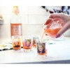 Silver Buffalo The Golden Girls "Thirsty Salty Extra Savage" 1.5-Ounce Mini Glasses | Set Of 4 - 4 of 4