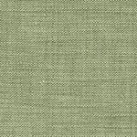 chambray olive