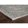 Rugs America Elise Oriental Transitional Area Rug - 4 of 4