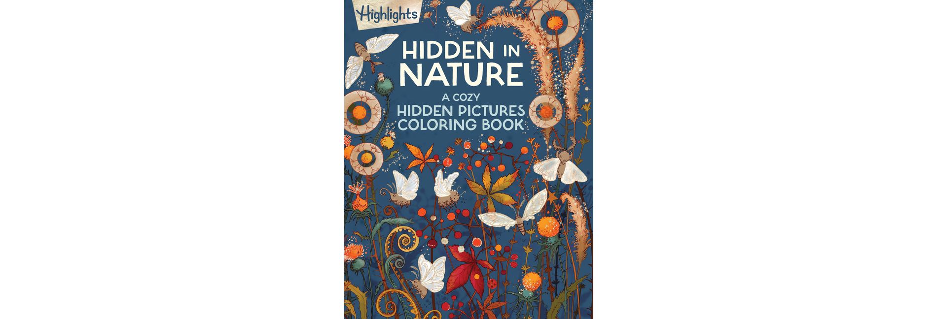 Hidden in Nature: A Cozy Hidden Pictures Coloring Book - (Paperback)