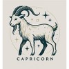 Capricorn Zodiac Sign Adult Long Sleeve Hoodie - 2 of 2