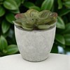 Unique Bargains Artificial Plants Mini Frost Lotus in Pulp Plastic 2.76"x2.76"x2.95" 1Pcs - 2 of 4