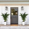 1-Pair Black Self-Watering Planters – 21.7” Tall, Water Level Gauge, Tall-Round Series – For Large Plants - 2 of 4