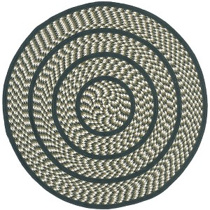 Braided BRD401 Hand Woven Area Rug  - Safavieh - 1 of 3