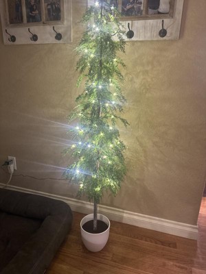 Guest review image 3 of 3, zoom in