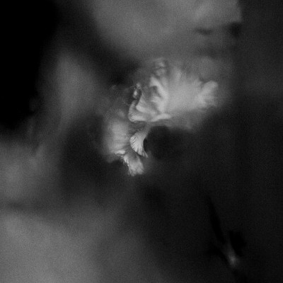 Holding Absence - Holding Absence (CD)