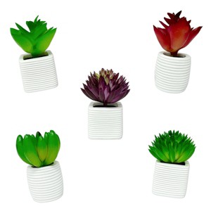 Wrapables 3D Resin Fridge Magnets, Succulents Refrigerator Magnets for Kitchen (Set of 5), Succulent - 1 of 4