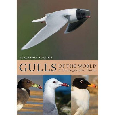 Gulls of the World - by  Klaus Malling Olsen (Hardcover)