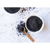 Organic Black Cumin Powder - by Food To Live - 4 of 4