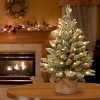 2' Prelit Flocked Concolor Fir Artificial Christmas Tree Warm White Lights - National Tree Company - 2 of 4