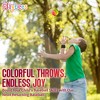 Playbees Assorted Colors Reactive Sports Wrist Balls 12 Pack - 4 of 4