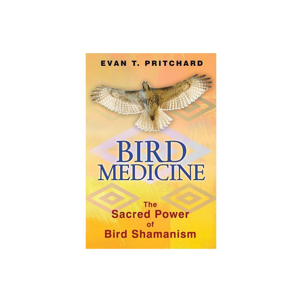 Bird Medicine - by Evan T Pritchard (Paperback)