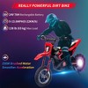 24V Kids Ride-On Motorcycle, Electric Off-Road Dirt Bike with 250W Motor, 13.6 MPH Speed, Chain Drive, Leather Seat, Disc Brake,Pneumatic Tires Red - 4 of 4