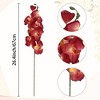 REGALWOVEN Real Touch Decor Artificial Phalaenopsis Flowers 26.4" 12 Pcs - 4 of 4