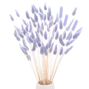 Unique Bargains Artificial Dried Flowers Realistic Look Pampas Bunny Tails Grass 17 Inch - 1 of 4
