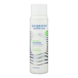 The Seaweed Bath Co. Eucalyptus Peppermint Balance Shampoo - 12 oz - 1 of 4