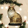 Old World Christmas Blown Glass Ornament for Christmas Tree, Maine Coon Cat - 2 of 4
