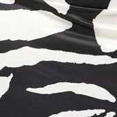 black ivory graphic