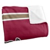 Lafayette College Primary Logo Stripes Silky 50x60 Blanket, 1 Sided - 3 of 4