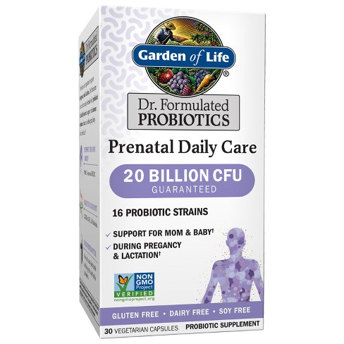 Garden Of Life Dr Formulated Probiotic Prenatal Daily Care