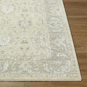 Hauteloom Airlia Living Room, Bedroom Area Rug - Traditional - 1 of 4