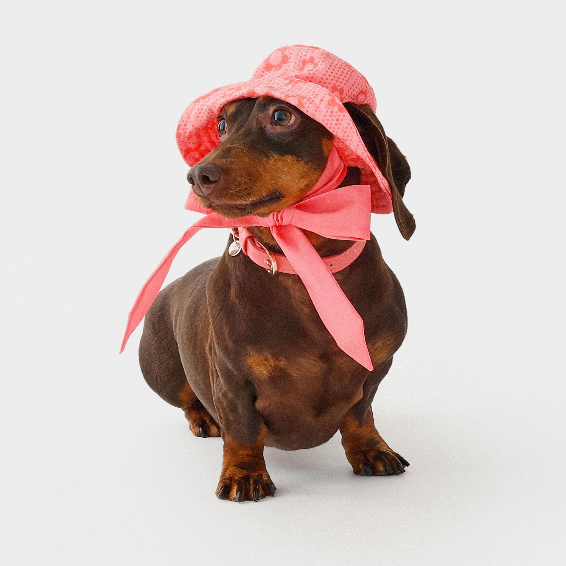 Hooray House Floral Sun Bucket Hat