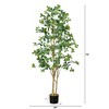 Nearly Natural 6-ft Artificial Black Olive Tree - 2 of 4
