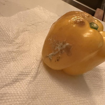 Guest review image 1 of 2, zoom in