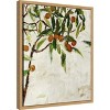 Amanti Art Kumquat Tree by Jodi Maas Canvas Wall Art Print Framed 16 x 20-in. - 2 of 4