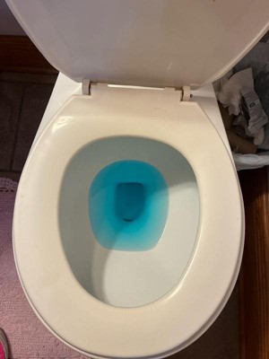 Guest review image 2 of 2, zoom in