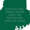 Poland Spring Origin Natural Spring Water - 900ml Bottle (Pack of 24) - 3 of 4