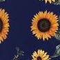 navy sunflower