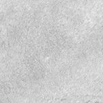 loni light grey