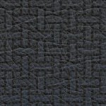 california golden bears