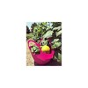 Hutzler Mini Colander garden basket, Small Pink - 2 of 3