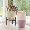 Dupray Bloom Air Purifier | Medical-Grade HEPA-13 Air Filtration - 3 of 4