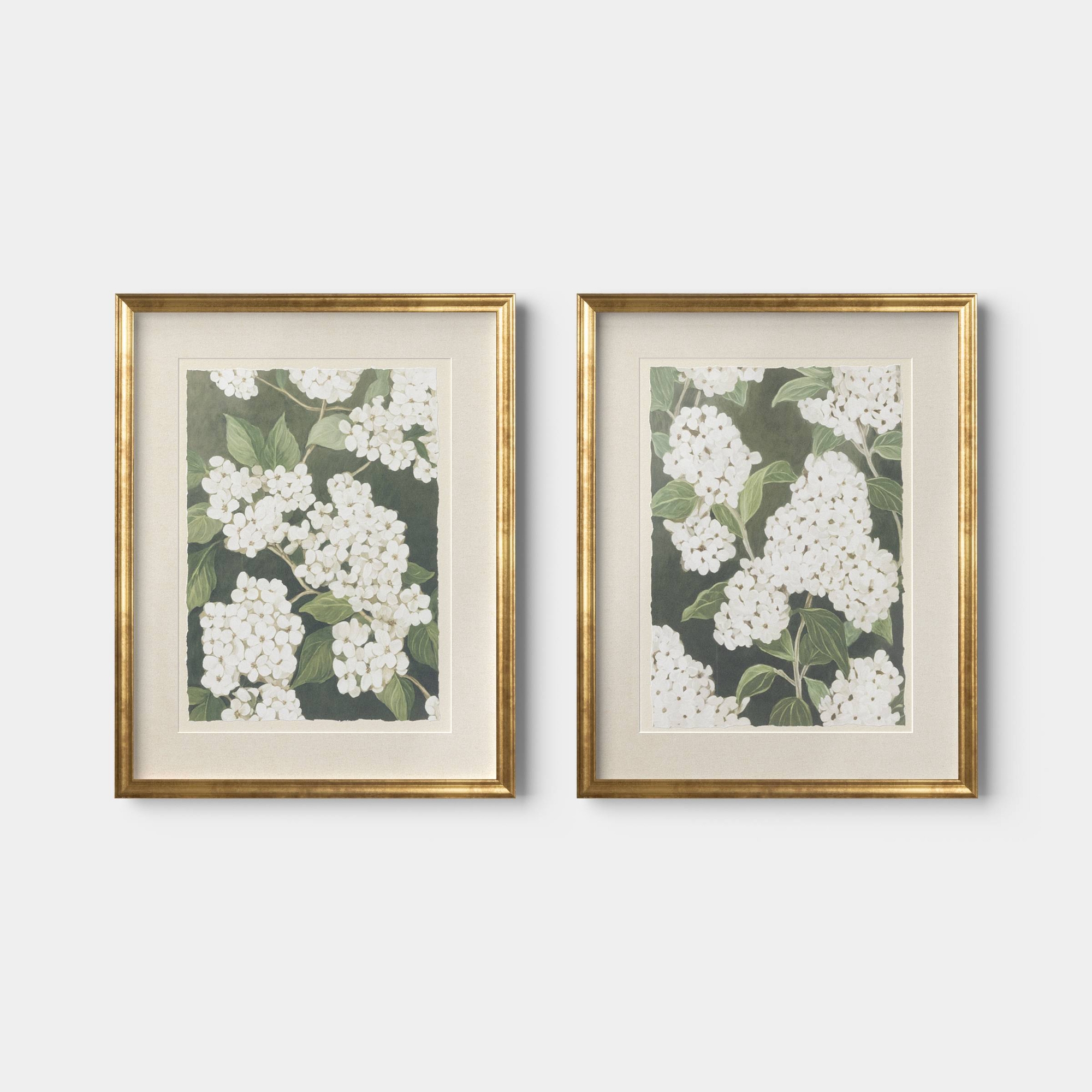 16"x20" Set of 2 Floral Framed Wall Art - Threshold™