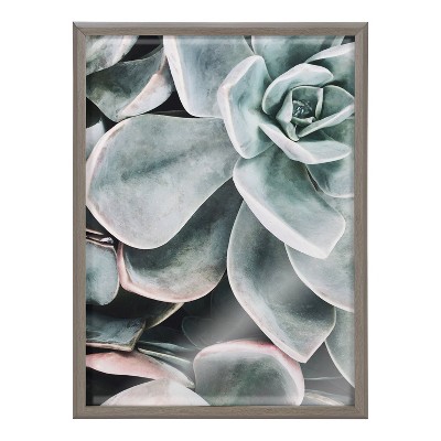 Gray Framed Botanical Succulent Plant Wall Art Set