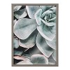 18" x 24" Blake Botanical Succulent Plants 2 Framed Printed Glass by the Creative Bunch Studio Gray - Kate & Laurel All Things Decor - 2 of 4