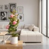 Orieon 2 Pack 21.6" Artificial Rose Plant in Pot, Faux Flowers, Lifelike Indoor D¨¦cor for Home, Office, Wedding & Events - 4 of 4