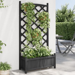 Aghana Digitals Matte Black Solid Fir Wood Trellis Planter with 59.1" Height for Climbing Plants - - 1 of 4
